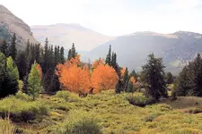 9-15c.webp