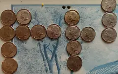 IMAG0232_1.webp