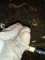 Ring2.webp