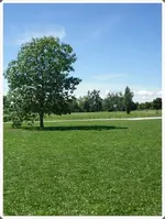 SDC19332.webp