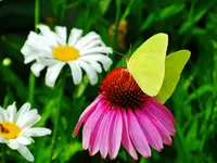 FSCN3405.webp