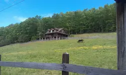 971048_534015436656744_314232163_n.webp