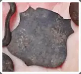 Sheild-crop.webp