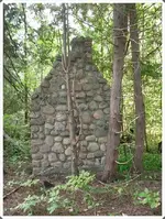 SDC19631.webp