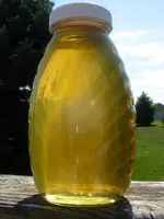DSCN1217.webp