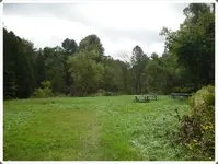 SDC19632.webp