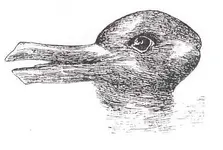 Duck-Rabbit_illusion.webp