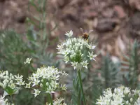 100_7929.webp