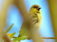 FSCN6322.webp