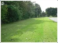 SDC19490.webp