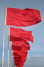 red-flags.webp