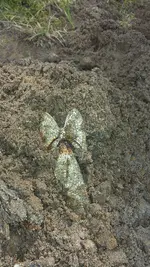 20140829_121121.webp