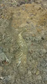 20140829_121950.webp