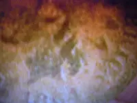 006.webp