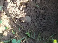 001.webp