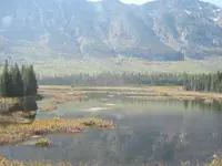 Folder # 3 004.webp