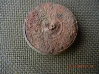 DSCN1974.webp
