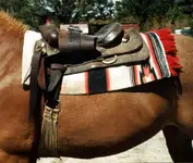cinch buckle1.webp