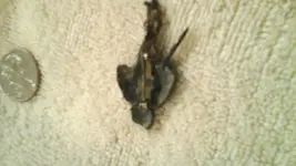 20141007_073715.webp