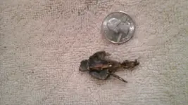 20141007_073107.webp