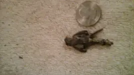 20141007_073339.webp