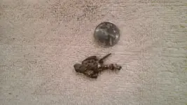 20141007_073012.webp