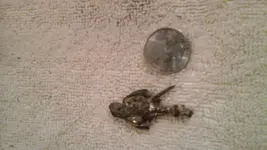 20141007_073027.webp