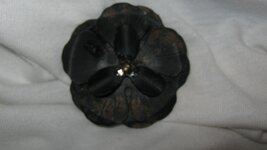 Second Dollar Coin Metal Flower and Other Stuff Sept. 21 2014 005.JPG