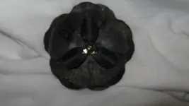Second Dollar Coin Metal Flower and Other Stuff Sept. 21 2014 005.webp