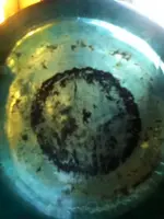 image-1707775162.webp