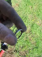 Park Finds 10-4-14 002.webp