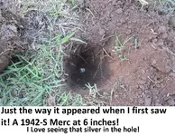 Park Finds 10-4-14 005.webp