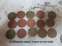 Park Finds 10-4-14 010.webp