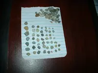 DSCF0132.webp