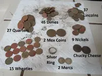 Park Finds 10-4-14 013.webp