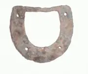 HeelPlate.webp
