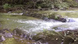125_2629.webp