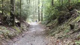 125_2643.webp 125_2643.webp
