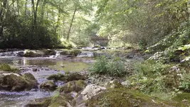 125_2647.webp
