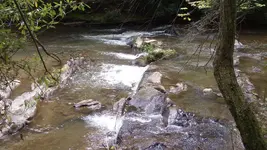 125_2649.webp