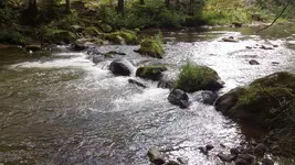 125_2651.webp 125_2651.webp