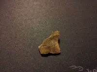 20141007_173739.webp