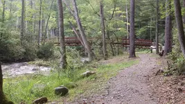 125_2652.webp