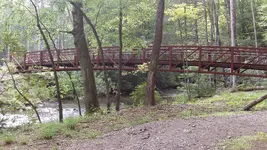 125_2654.webp 125_2654.webp