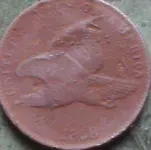 119_0218 eagle.webp 119_0218 eagle.webp
