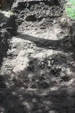 pit2 (2).webp