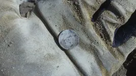 Dime in Hand.webp