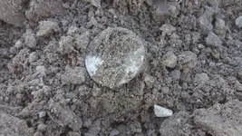 Half in Dirt.webp Half in Dirt.webp