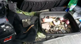 20141007_154633.webp