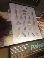 image-3449867417.webp